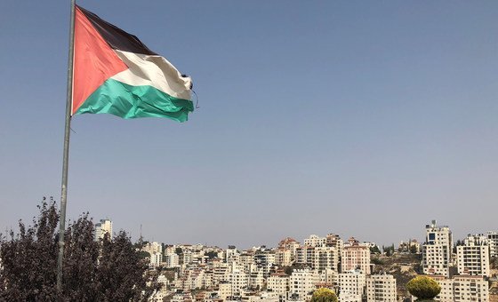Palestine: Rights experts call for stronger torture prevention measures